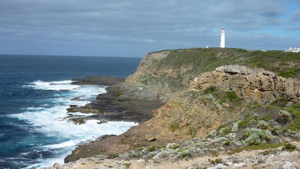 Great South West Walk Highlights - 6 Days